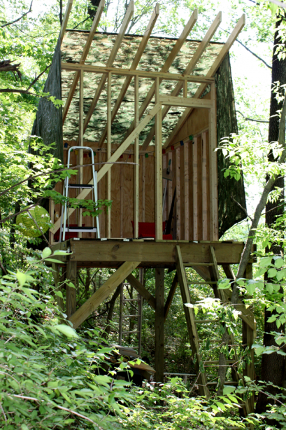 treehouse roofs