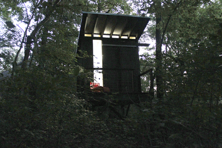 modfrugal treehouse